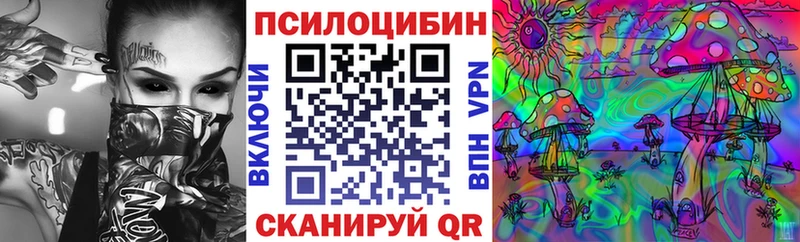 цена наркотик  Нижний Новгород  Галлюциногенные грибы MAGIC MUSHROOMS 